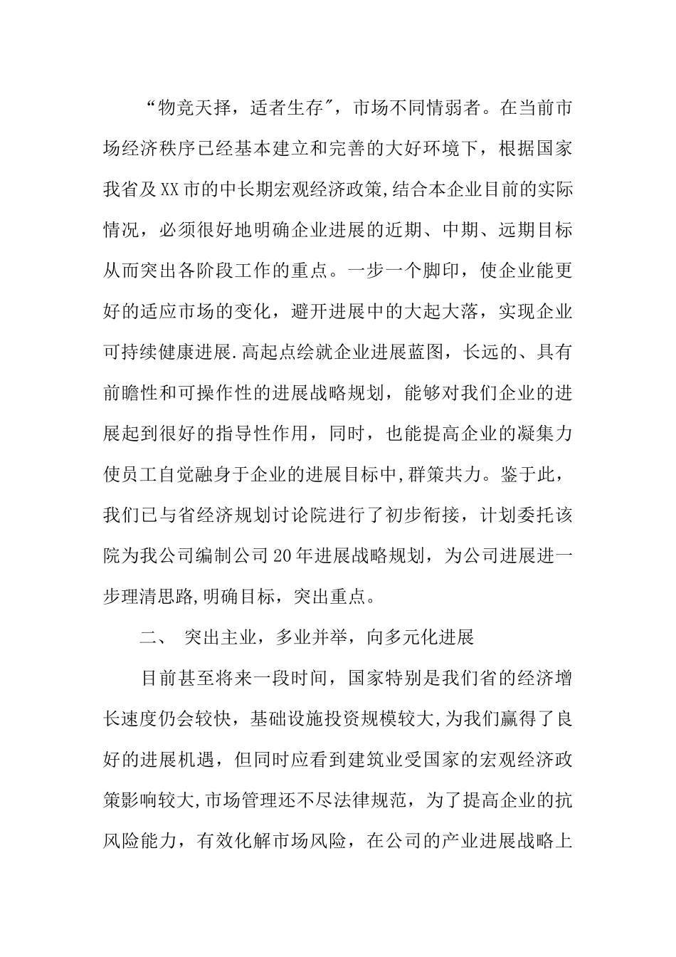 公司发展战略规划_第2页
