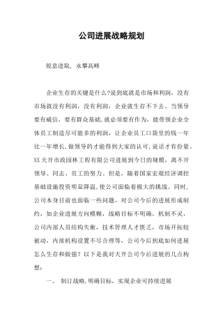 公司发展战略规划