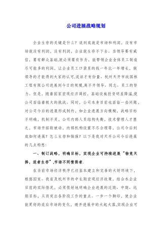 公司发展战略规划11658