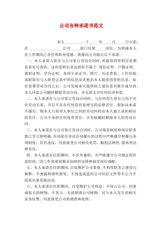公司各种承诺书范文