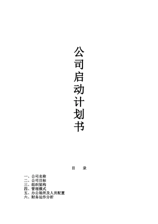 公司启动计划书20250130