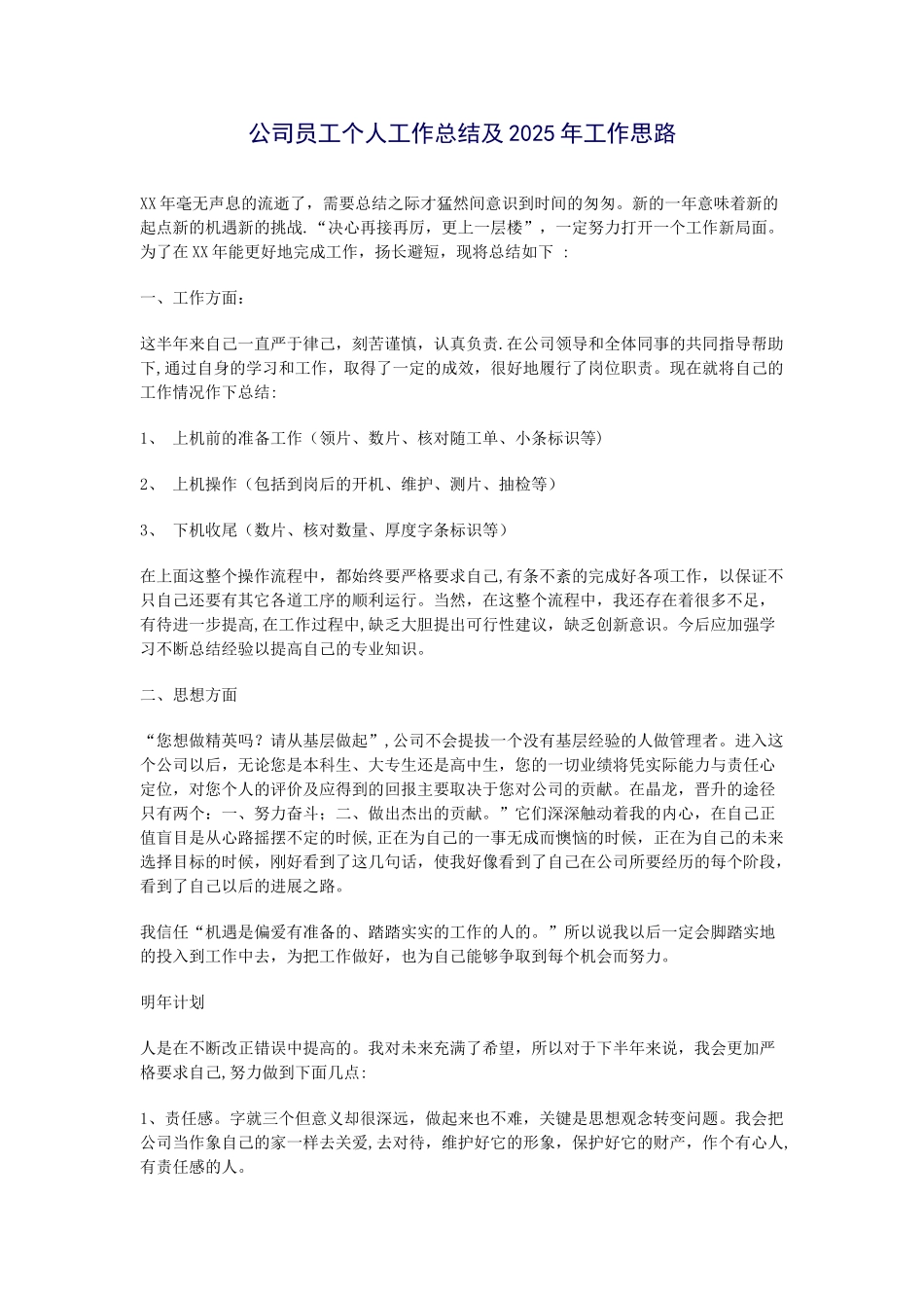 公司员工个人工作总结及2025年工作思路_第1页