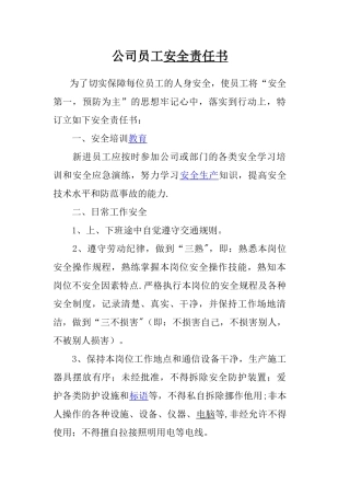公司员工安全责任书