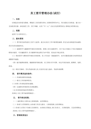 公司员工晋升管理制度-2025624