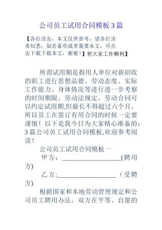 公司员工试用合同模板3篇