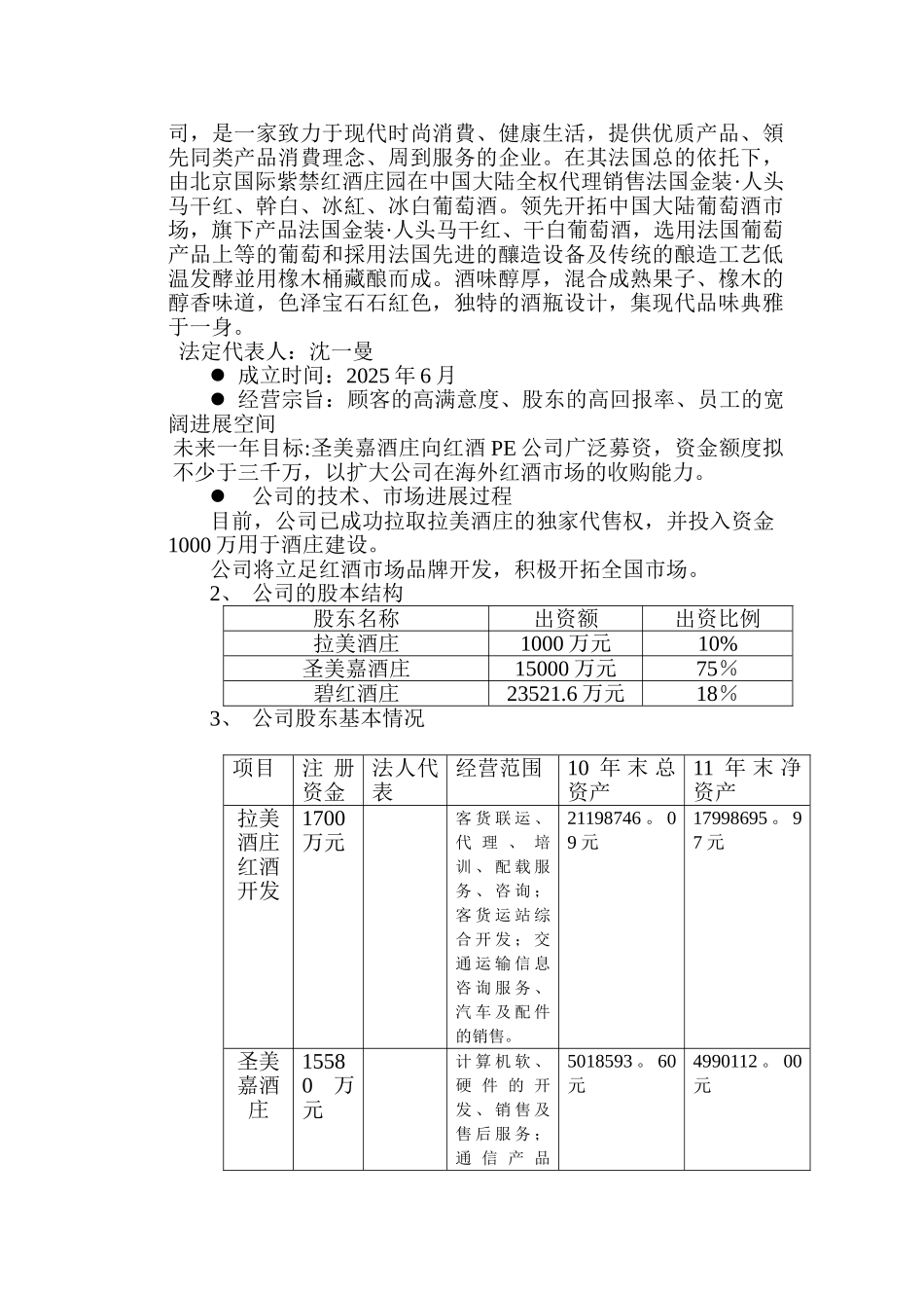公司商业融资计划书模板_第3页