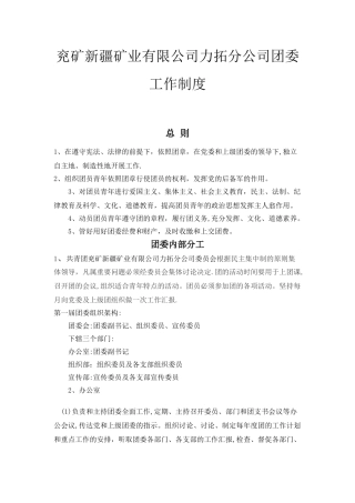 公司团委日常工作制度