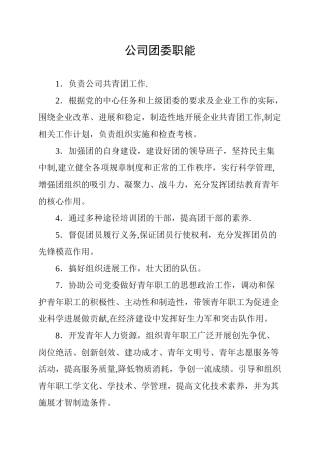 公司团委职能及岗位说明书