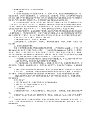 公司安全文化建设自评报告