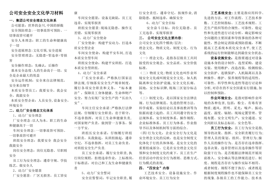 公司安全文化培训材料--打印1_第1页
