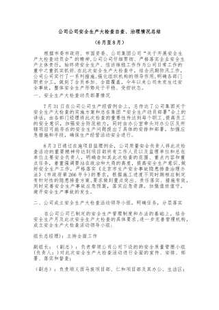 公司安全生产大检查自查整改情况总结828