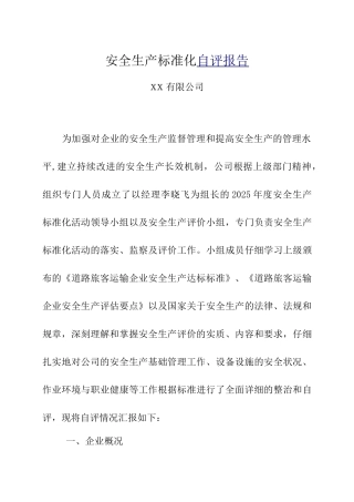 公司安全生产标准化自评报告DOC