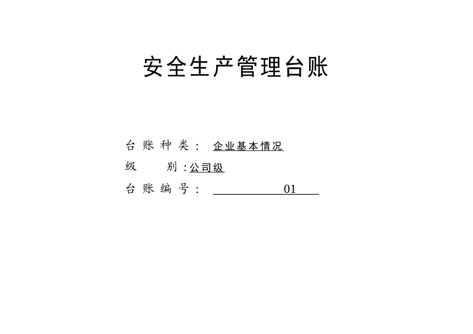 公司安全生产管理台账_第3页