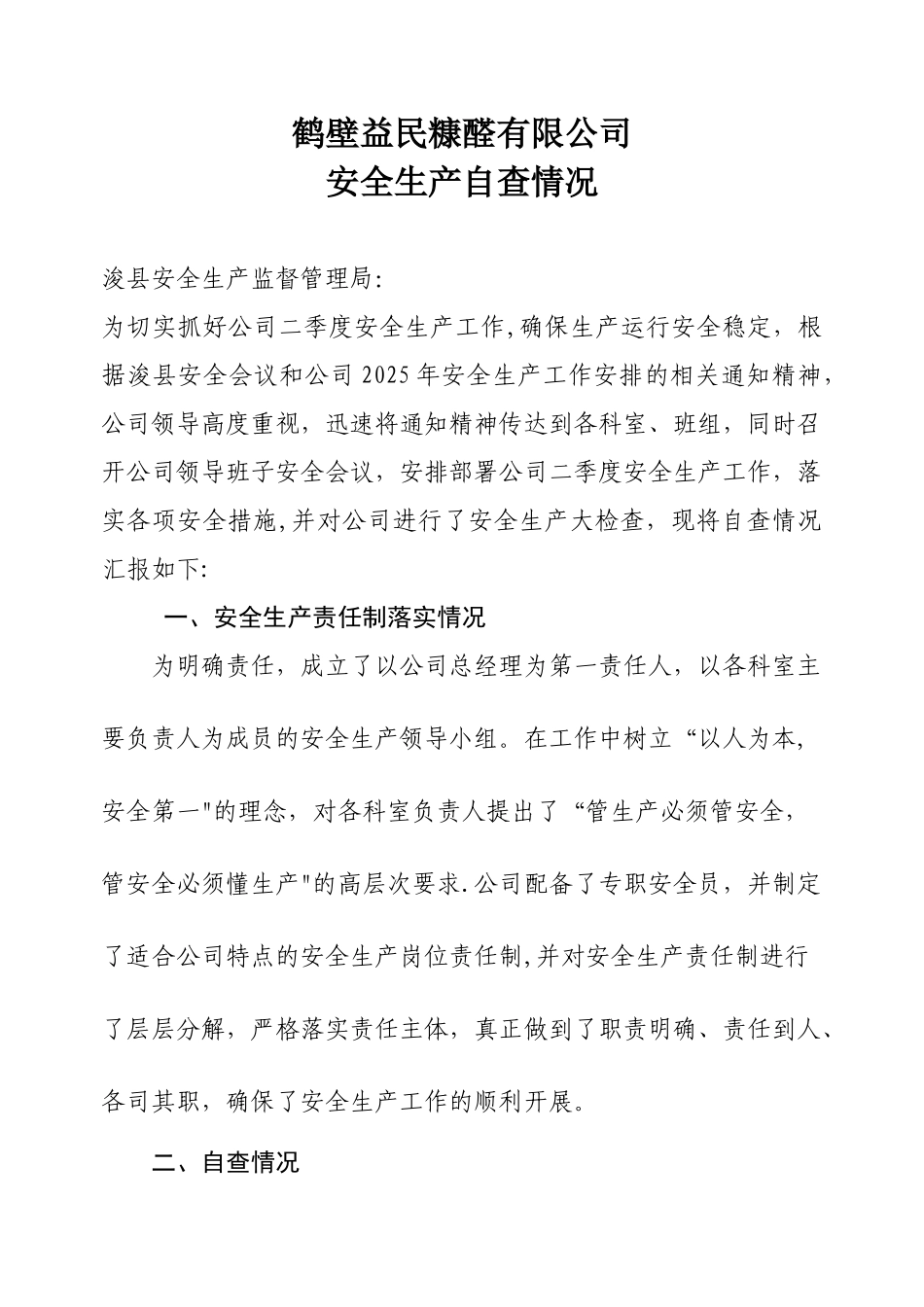 公司安全生产自查报告_第1页