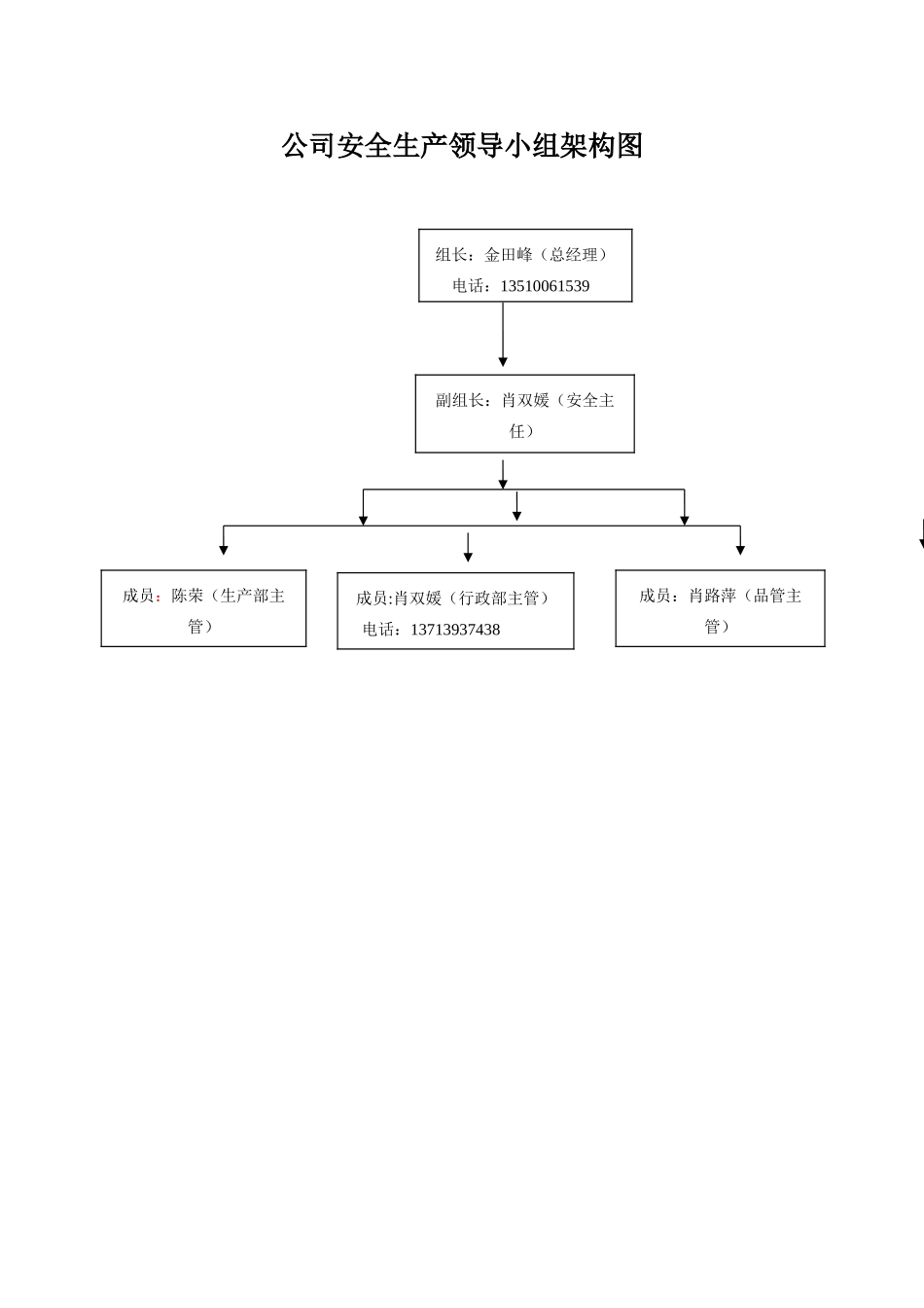 公司安全生产领导小组架构图_第1页