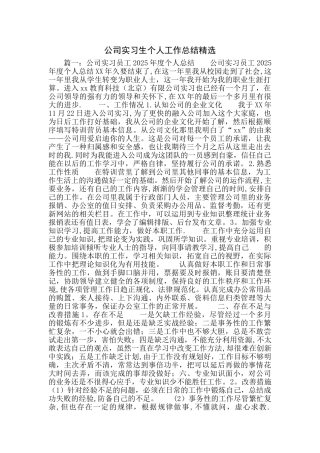 公司实习生个人工作总结精选