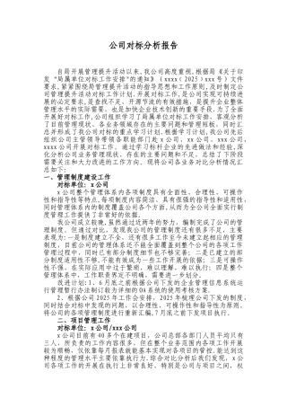 公司对标分析报告