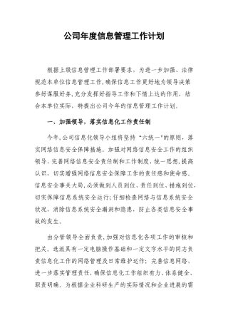 公司年度信息管理工作计划