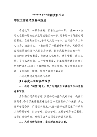 公司年度工作总结及战略规划