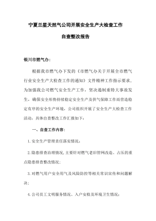 公司开展安全生产大检查工作自查整改报告