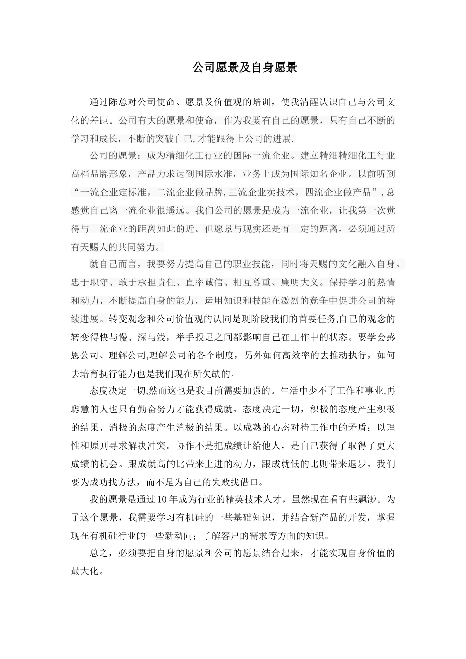 公司愿景学习体会_第1页