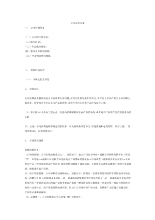 公司成立架构方案