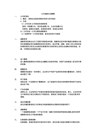 公司战略名词解释