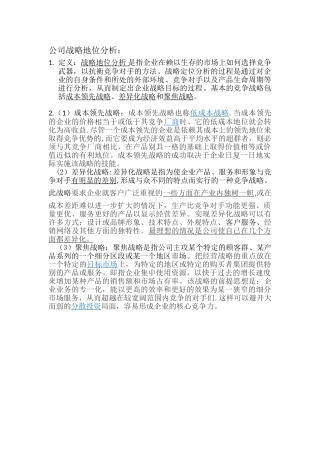 公司战略定位分析