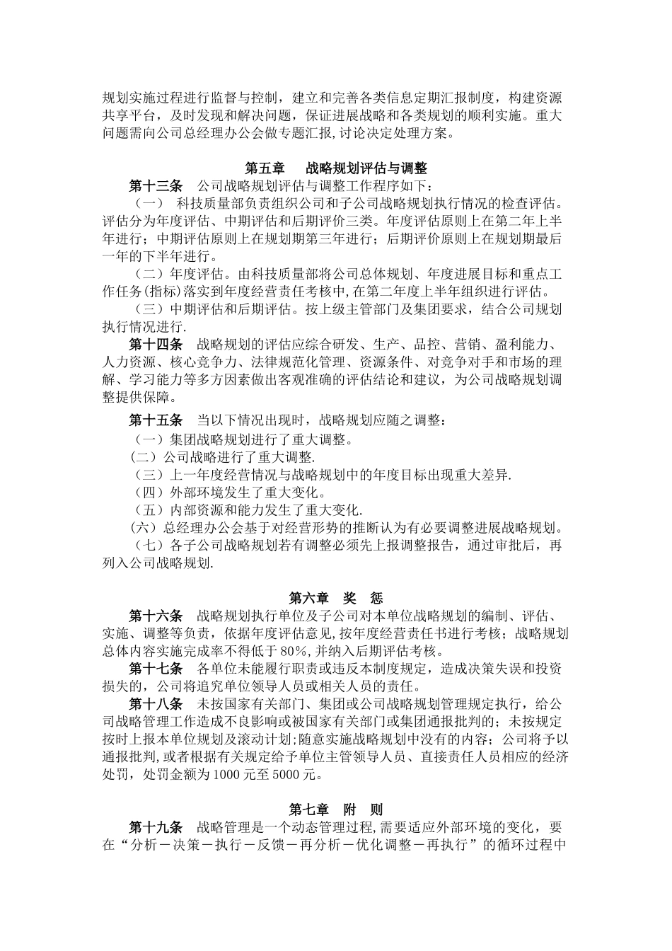 公司战略规划管理制度_第3页
