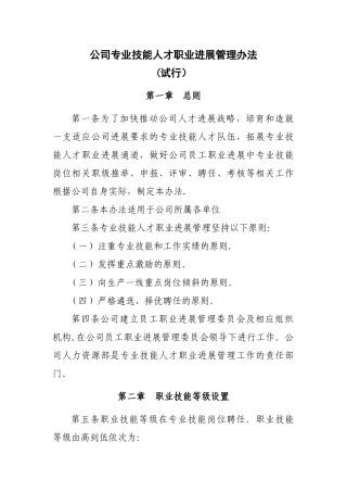 公司技能人才管理办法