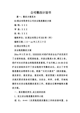 公司整改计划书