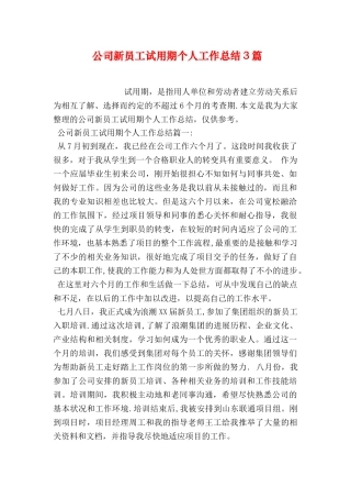 公司新员工试用期个人工作总结3篇