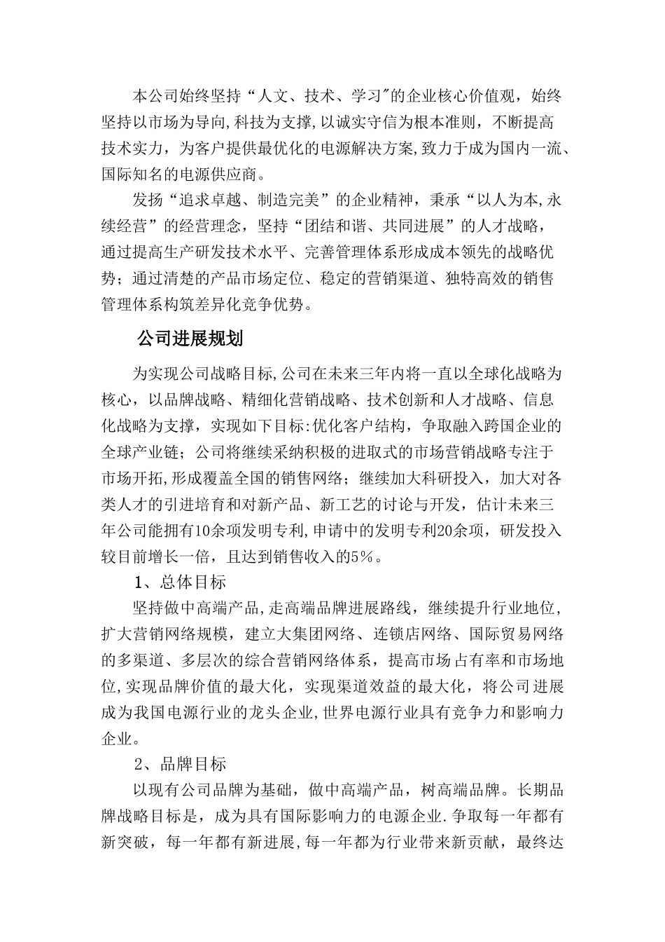 公司未来战略规划及发展目标_第2页
