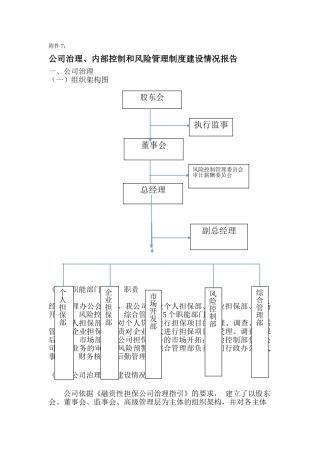 公司治理、内部控制和风险管理制度建设情况报告