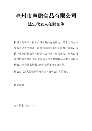 公司法定代表人任职文件