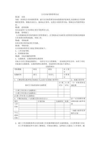 公司目标考核管理办法