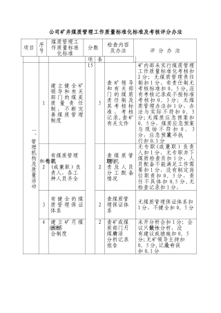 公司矿井煤质管理工作质量标准化标准及考核评分办法DOC
