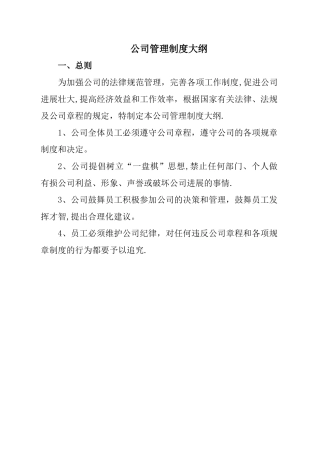 公司管理制度-大纲
