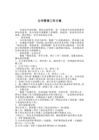公司管理工作方案