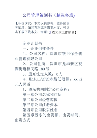 公司管理策划书