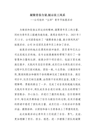 公司组织拓展活动简报