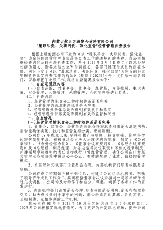 公司经营管理自查报告