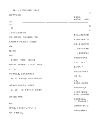 公司自我评价报告