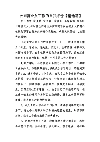 公司营业员工作的自我评价
