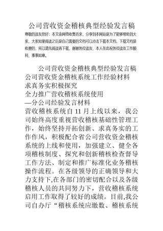 公司营收资金稽核典型经验发言稿