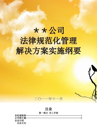 公司规范化管理整体解决方案实施纲要