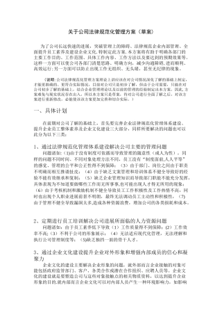 公司规范化管理方案44056