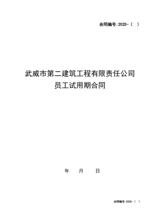 公司试用期合同范本