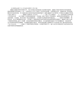 公司财务总监个人工作总结及明年工作计划