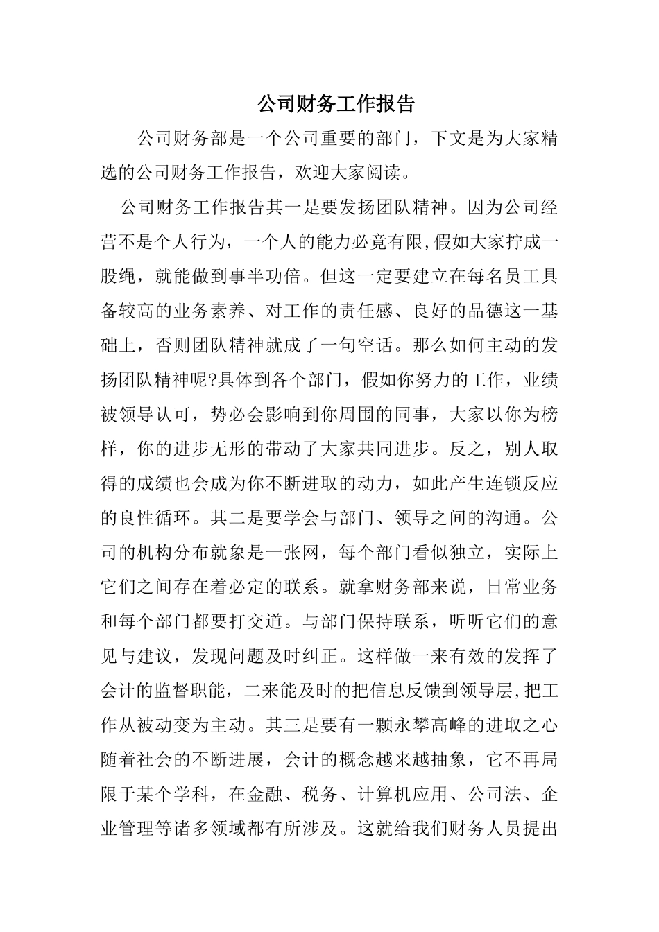 公司财务工作报告_第1页